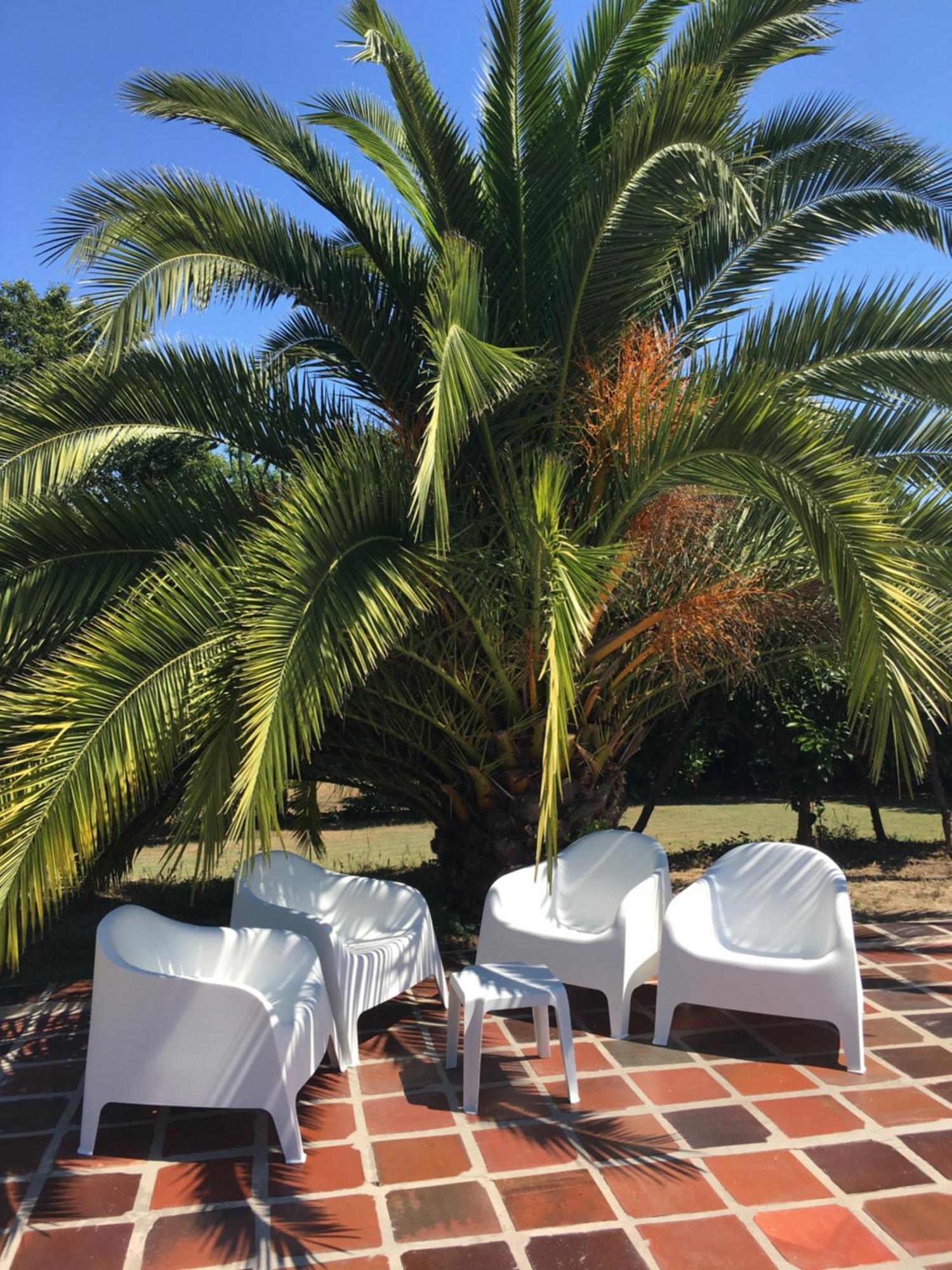Quinta De Mocamedes - Turismo De Habitacao Hotel โวเซลา ภายนอก รูปภาพ