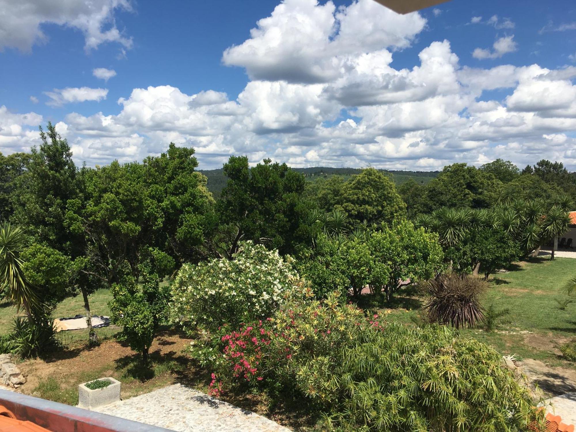 Quinta De Mocamedes - Turismo De Habitacao Hotel โวเซลา ภายนอก รูปภาพ