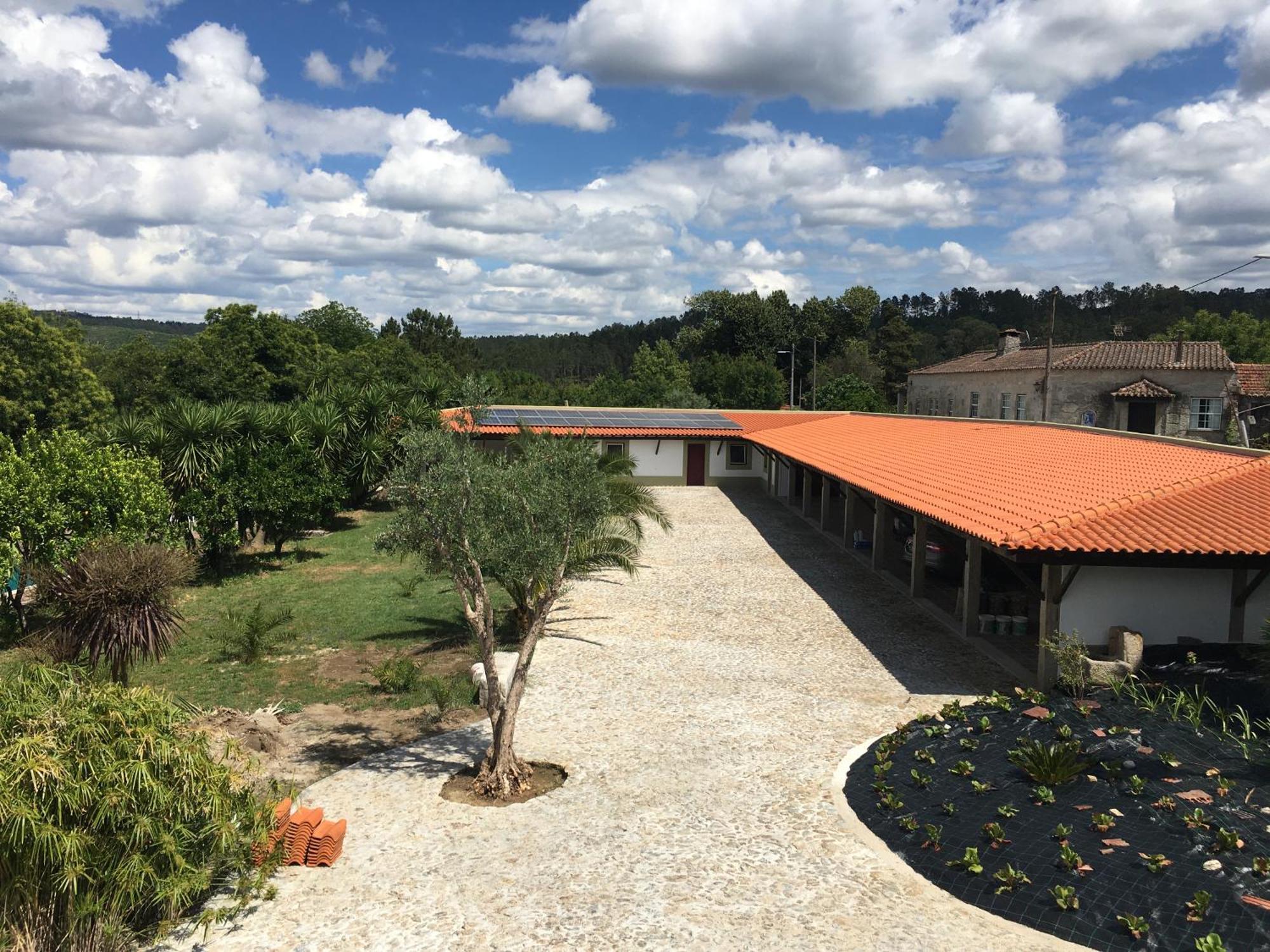 Quinta De Mocamedes - Turismo De Habitacao Hotel โวเซลา ภายนอก รูปภาพ