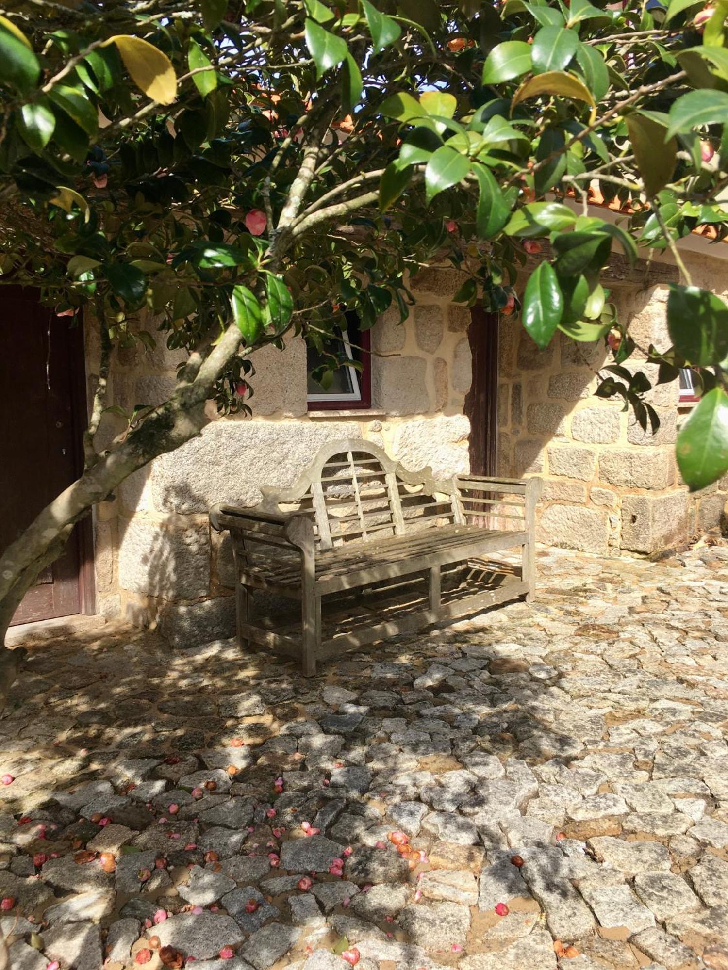 Quinta De Mocamedes - Turismo De Habitacao Hotel โวเซลา ภายนอก รูปภาพ