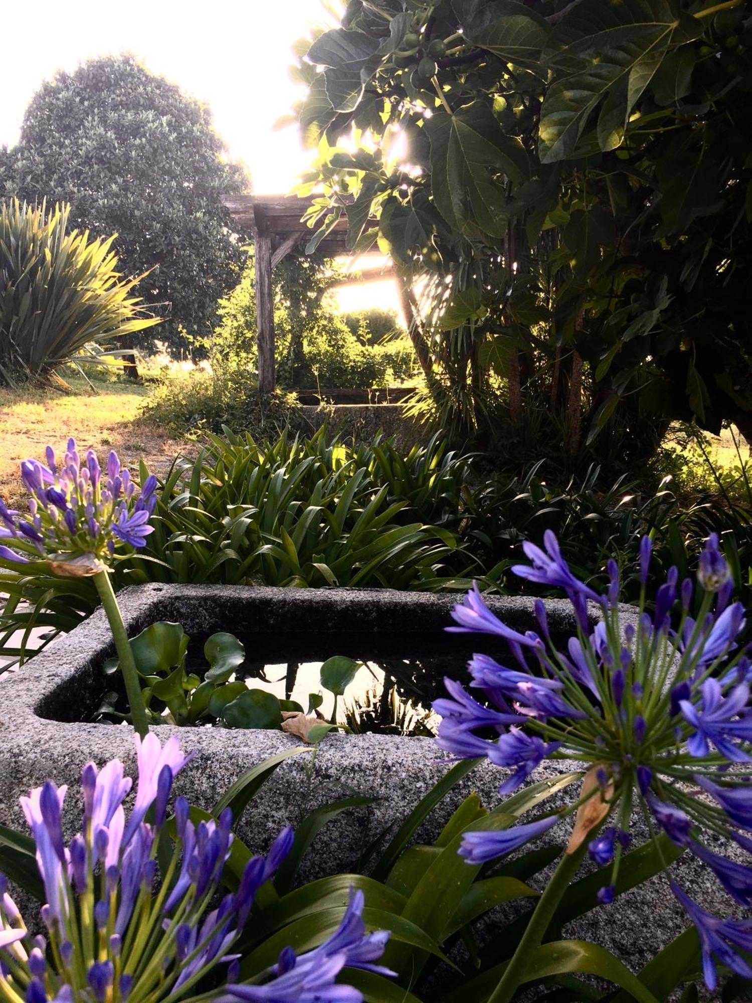 Quinta De Mocamedes - Turismo De Habitacao Hotel โวเซลา ภายนอก รูปภาพ