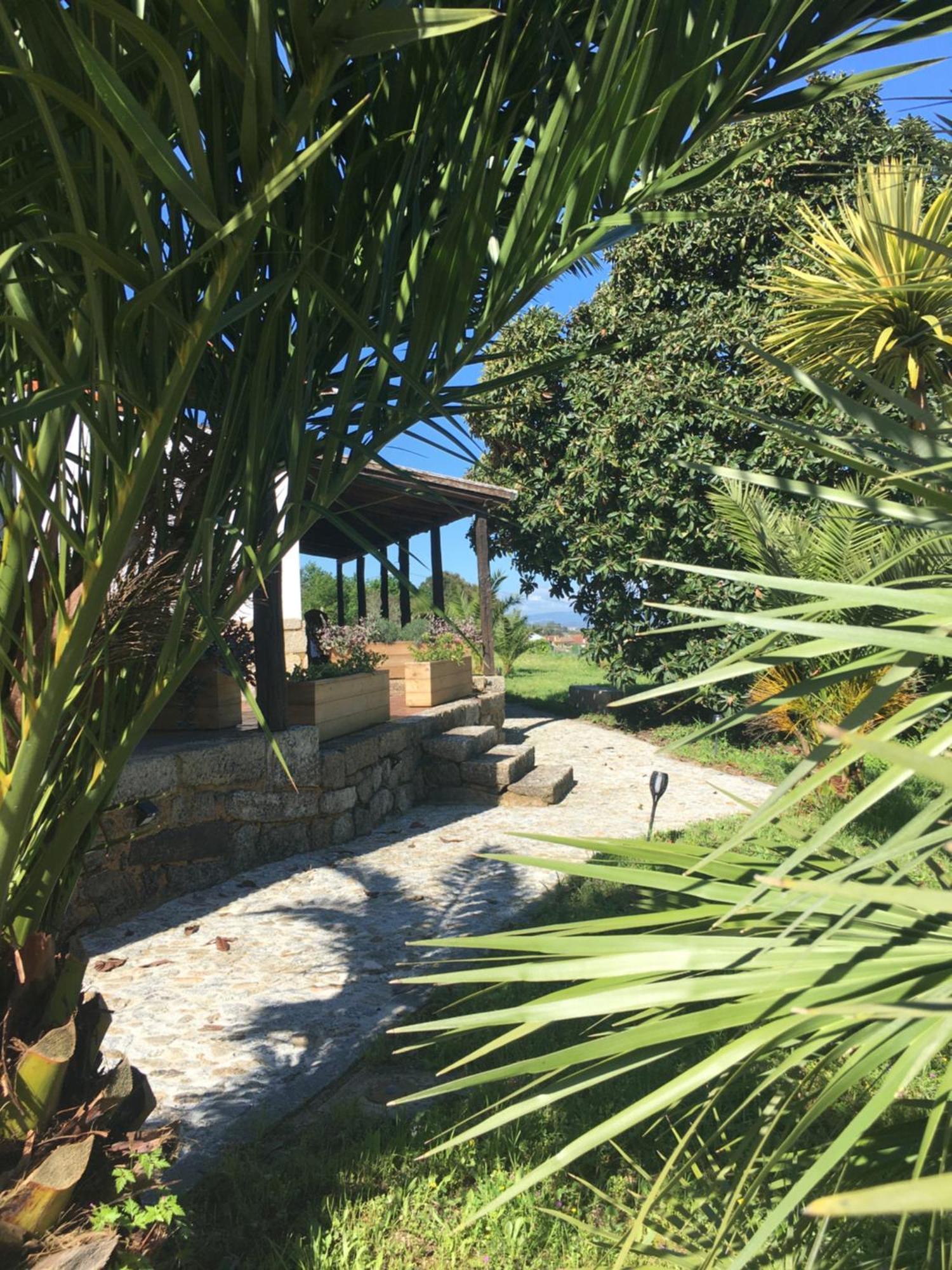 Quinta De Mocamedes - Turismo De Habitacao Hotel โวเซลา ภายนอก รูปภาพ