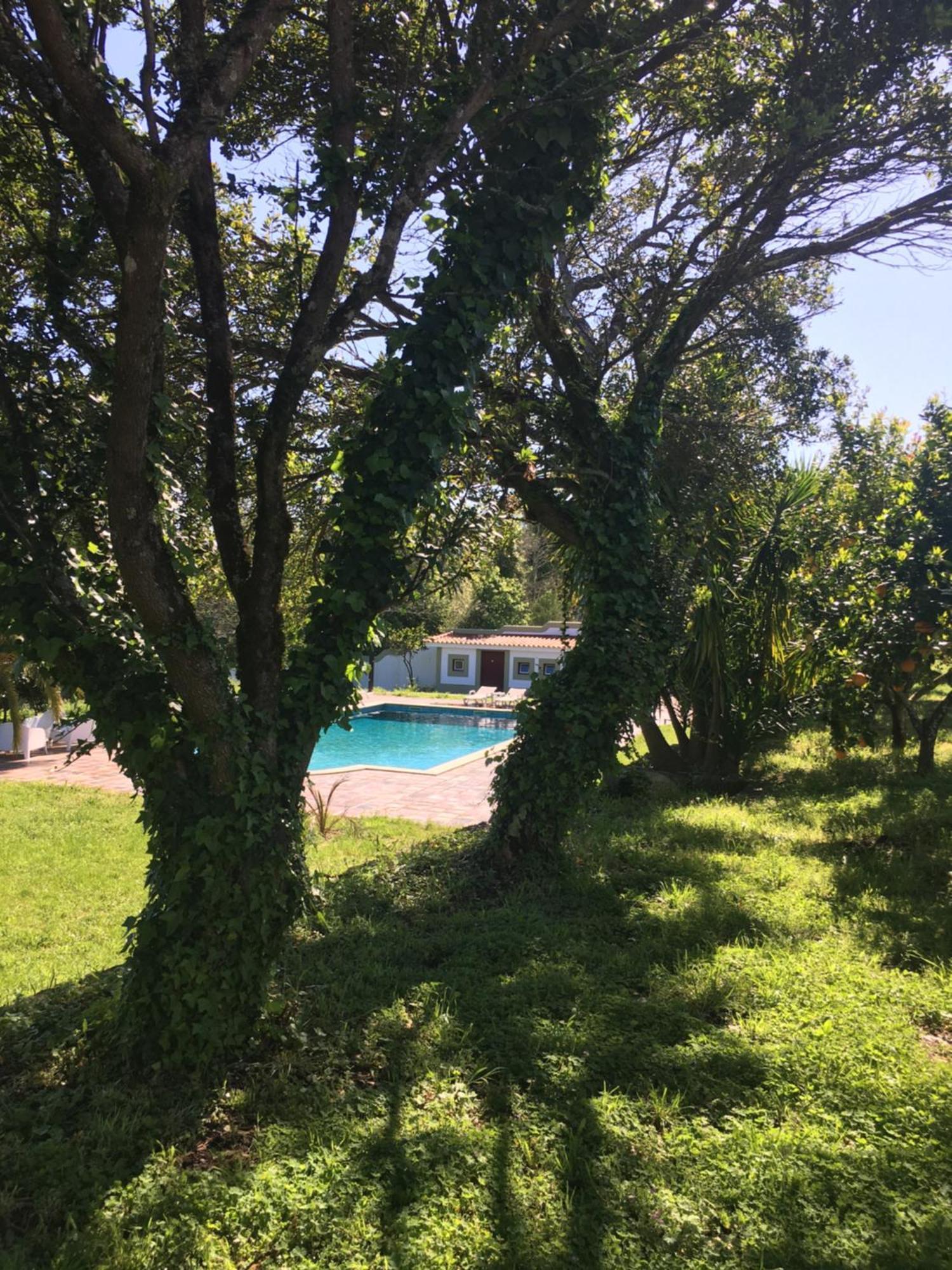 Quinta De Mocamedes - Turismo De Habitacao Hotel โวเซลา ภายนอก รูปภาพ