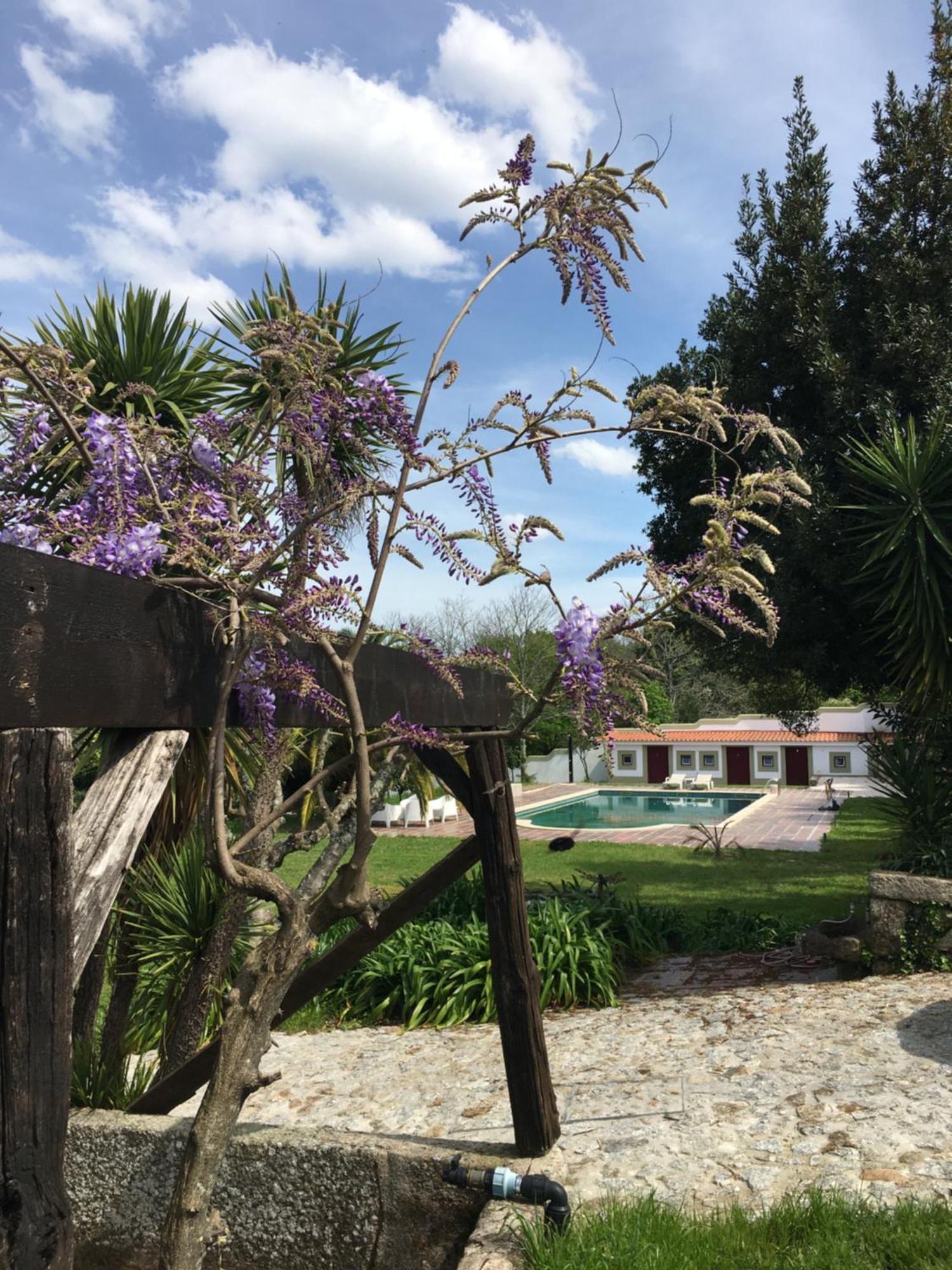Quinta De Mocamedes - Turismo De Habitacao Hotel โวเซลา ภายนอก รูปภาพ